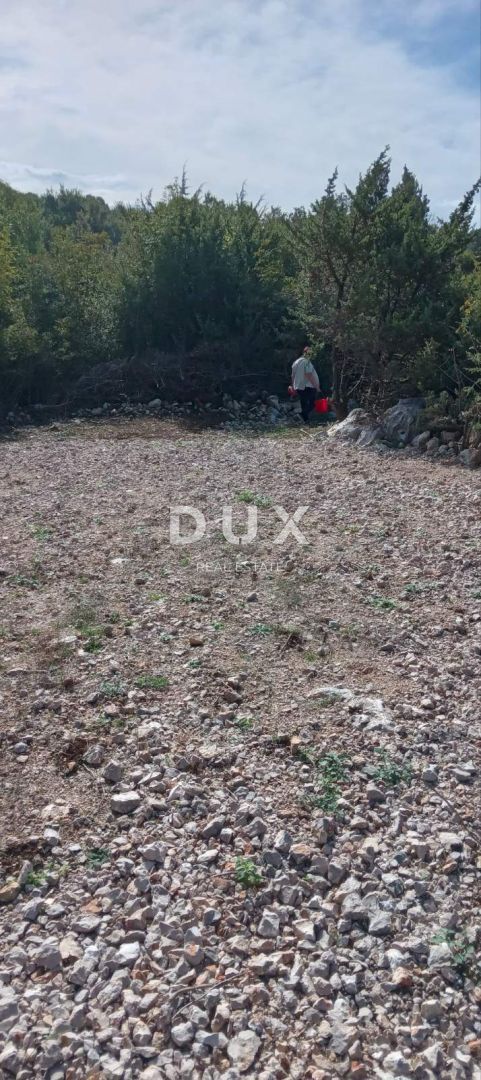 Fotografija