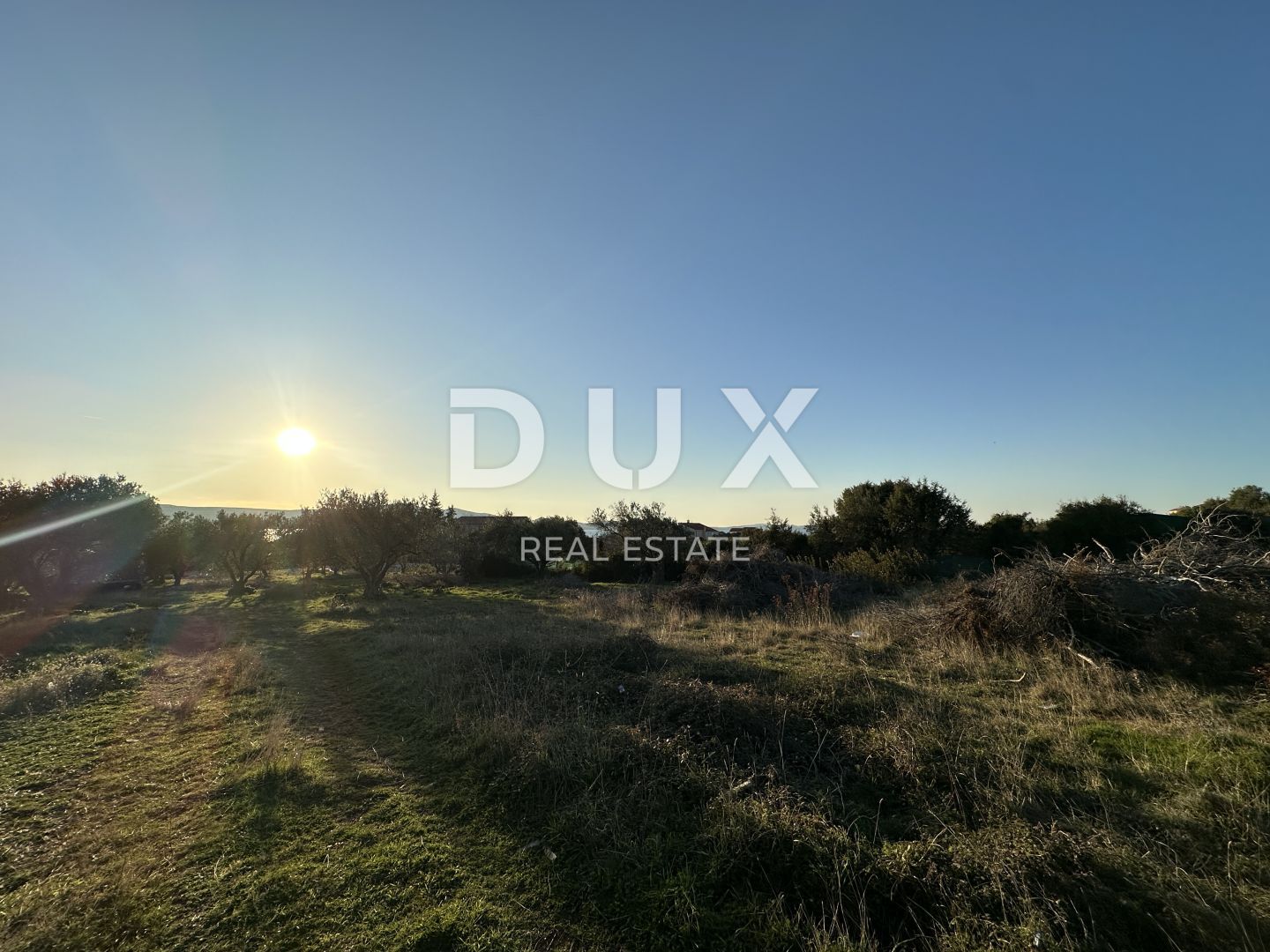 Fotografija
