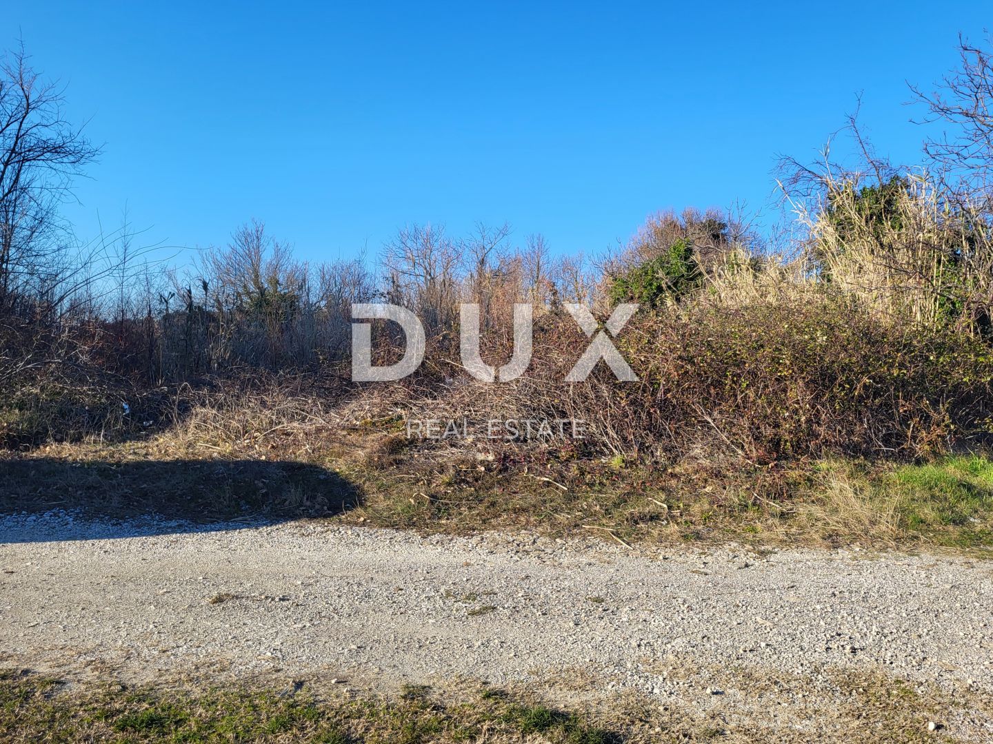 Fotografija