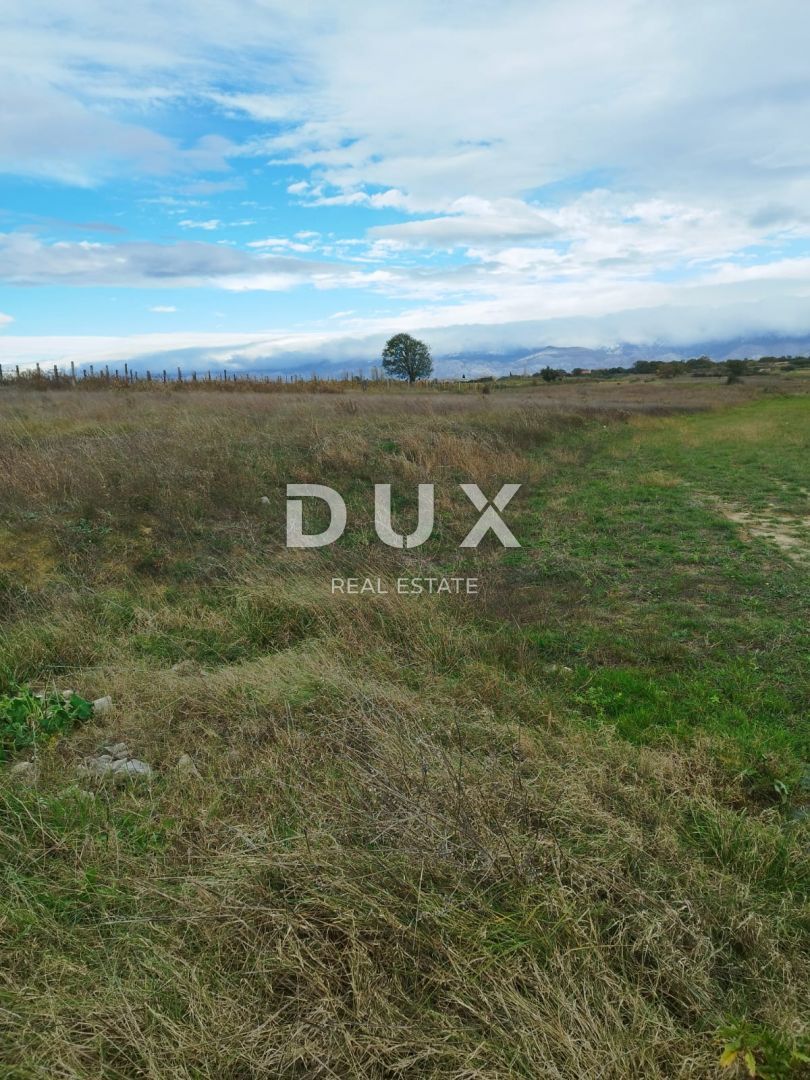 Fotografija