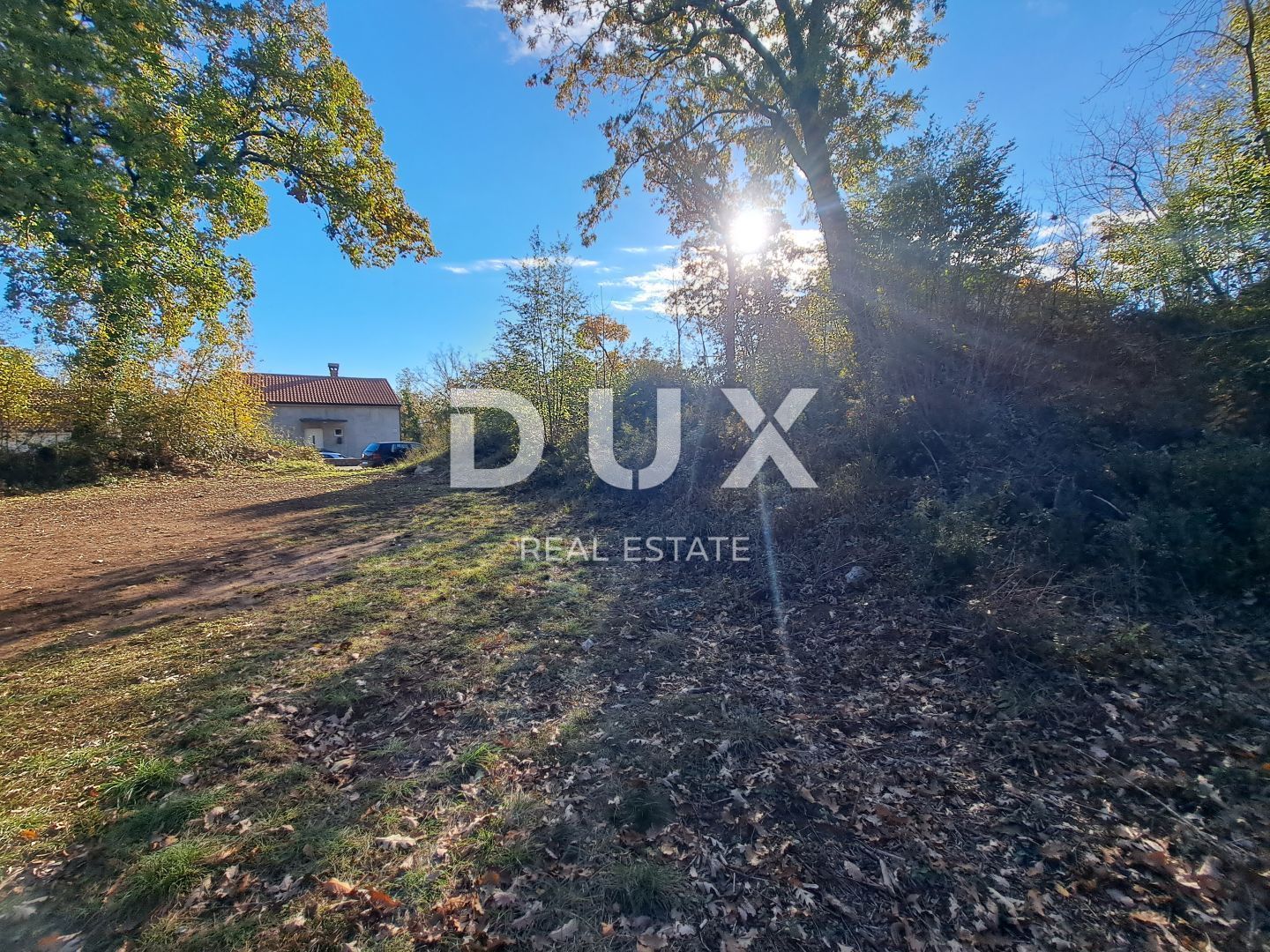 Fotografija