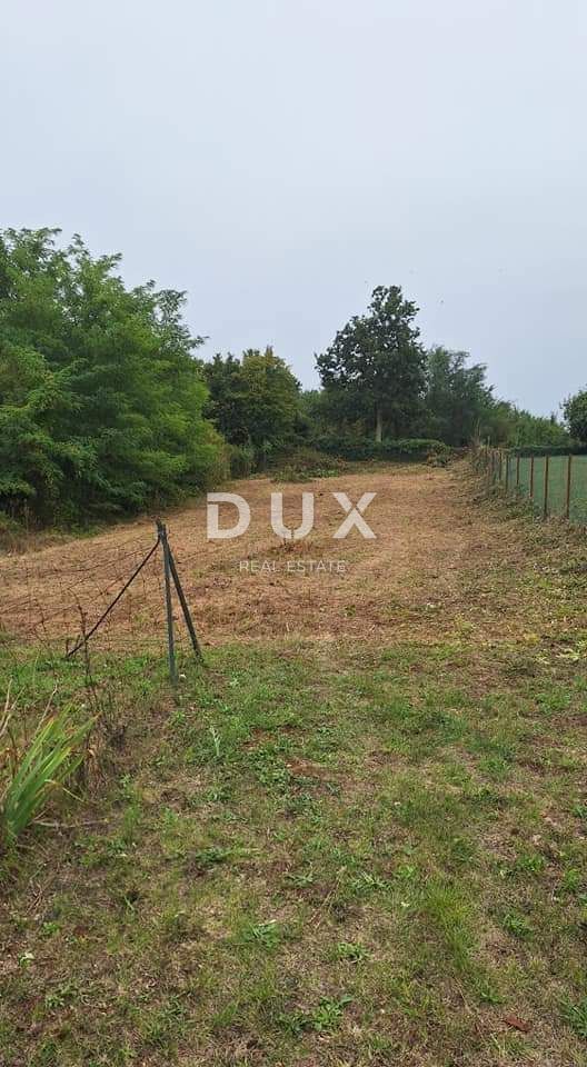 Fotografija