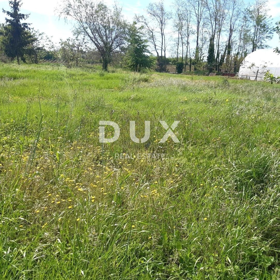 Fotografija