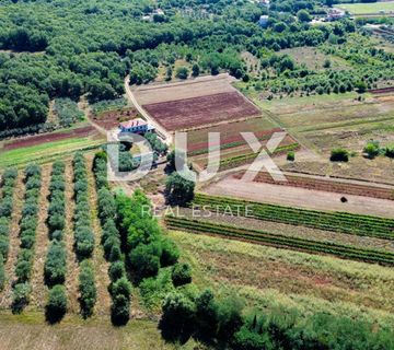 ISTRA, UMAG - Neponovljiva privatna stancija smještena u prirodnoj oazi - cover
