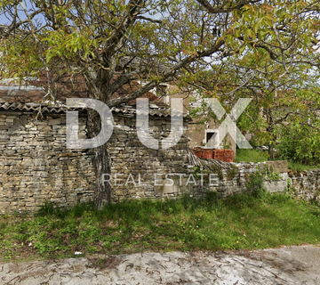 ISTRA,OPRTALJ - Starina s pogledom na prirodu - cover