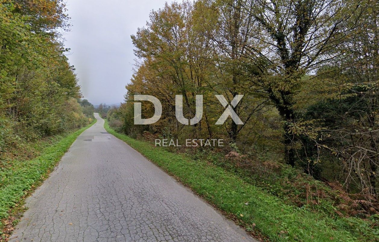 Fotografija