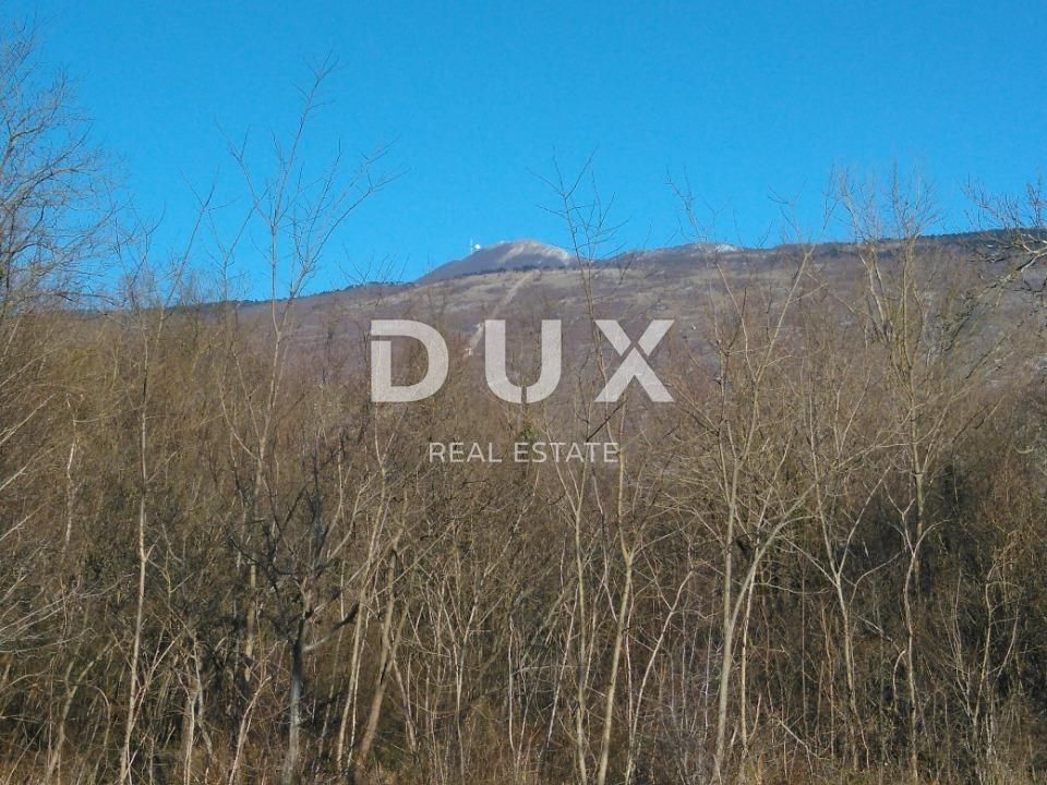 Fotografija