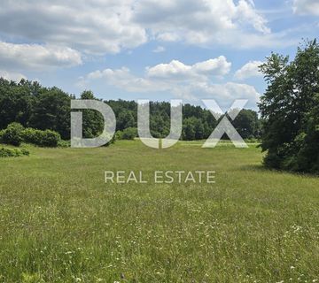 ISTRA, PIĆAN - Predivna livada površine 5938 m2 - cover