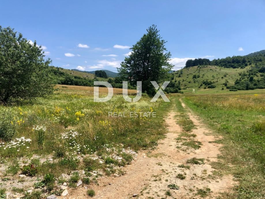Fotografija