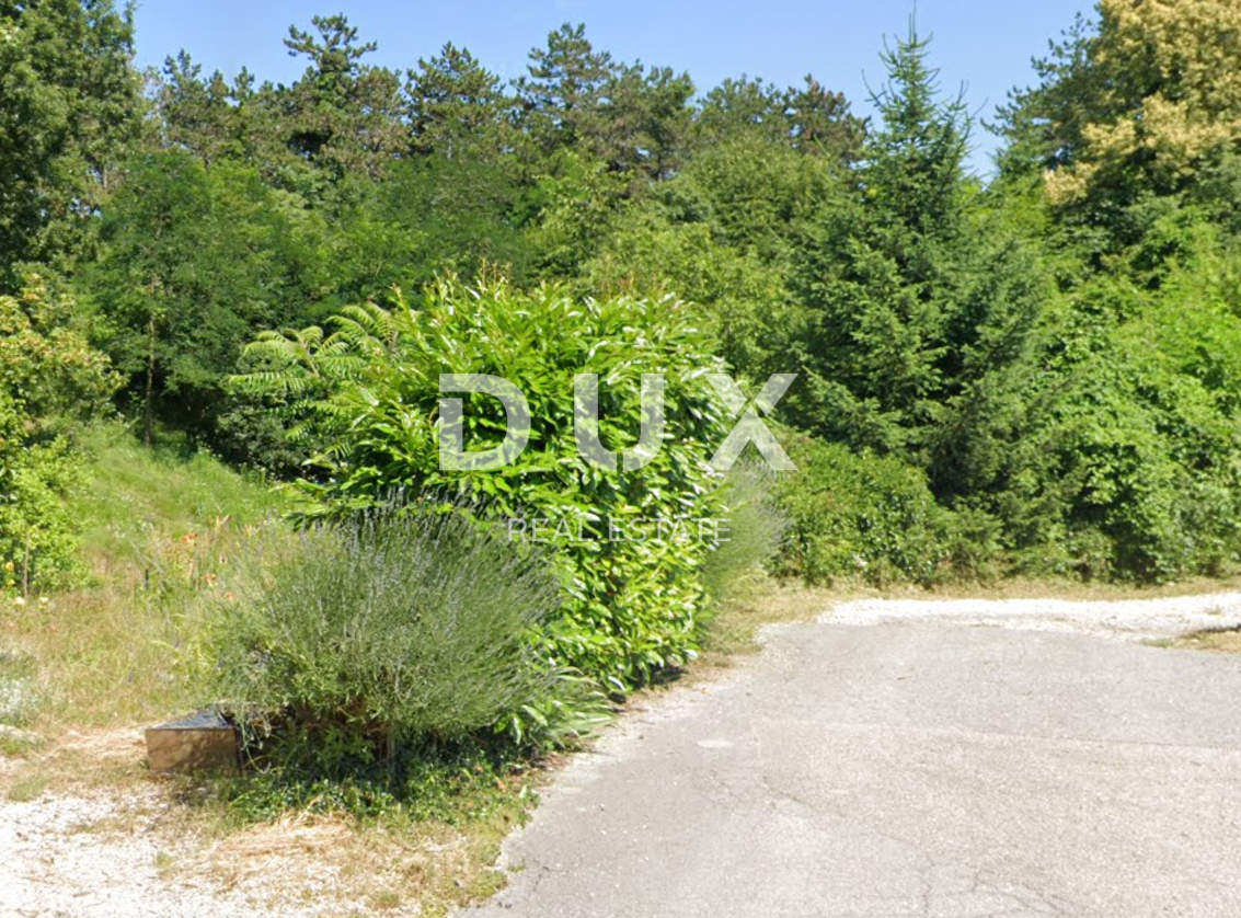 Fotografija