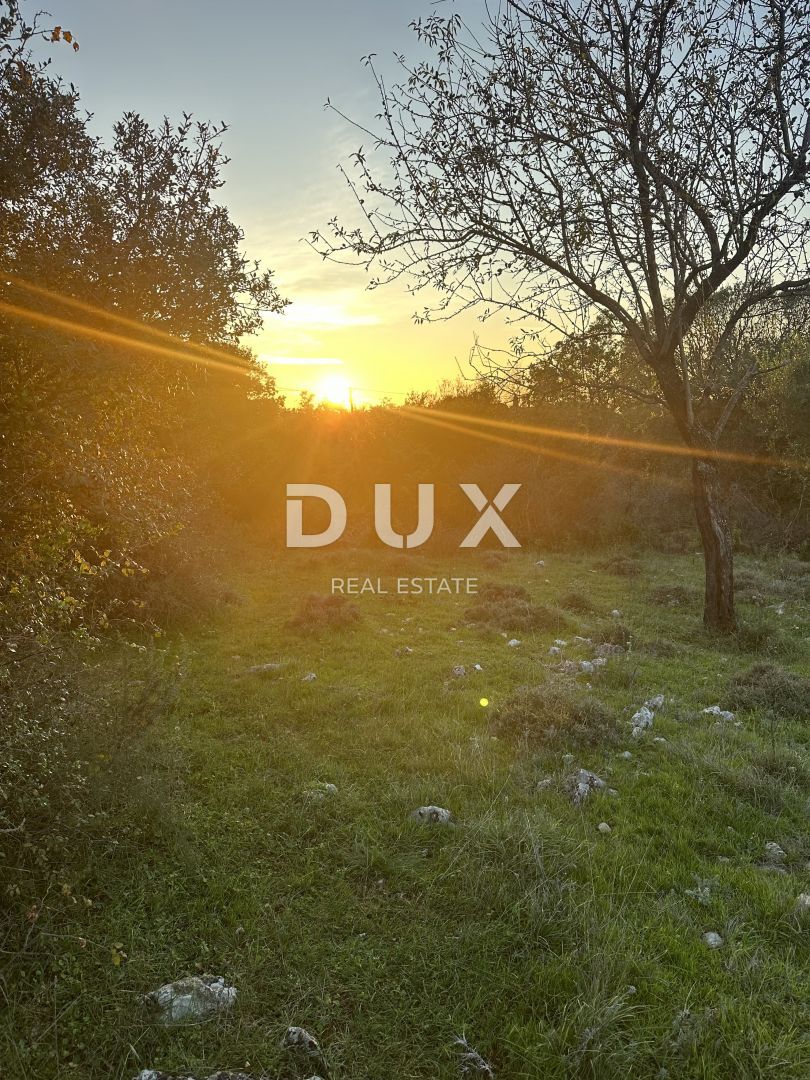 Fotografija