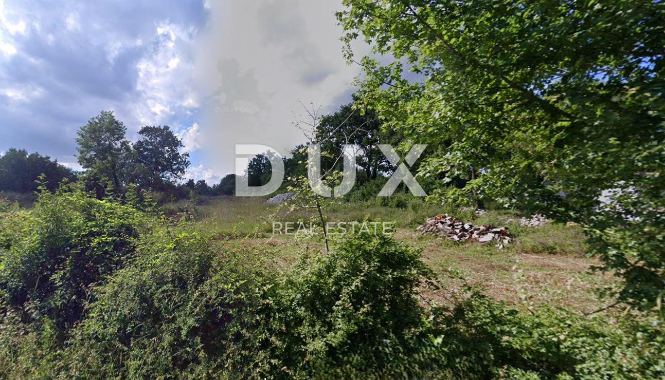 Fotografija