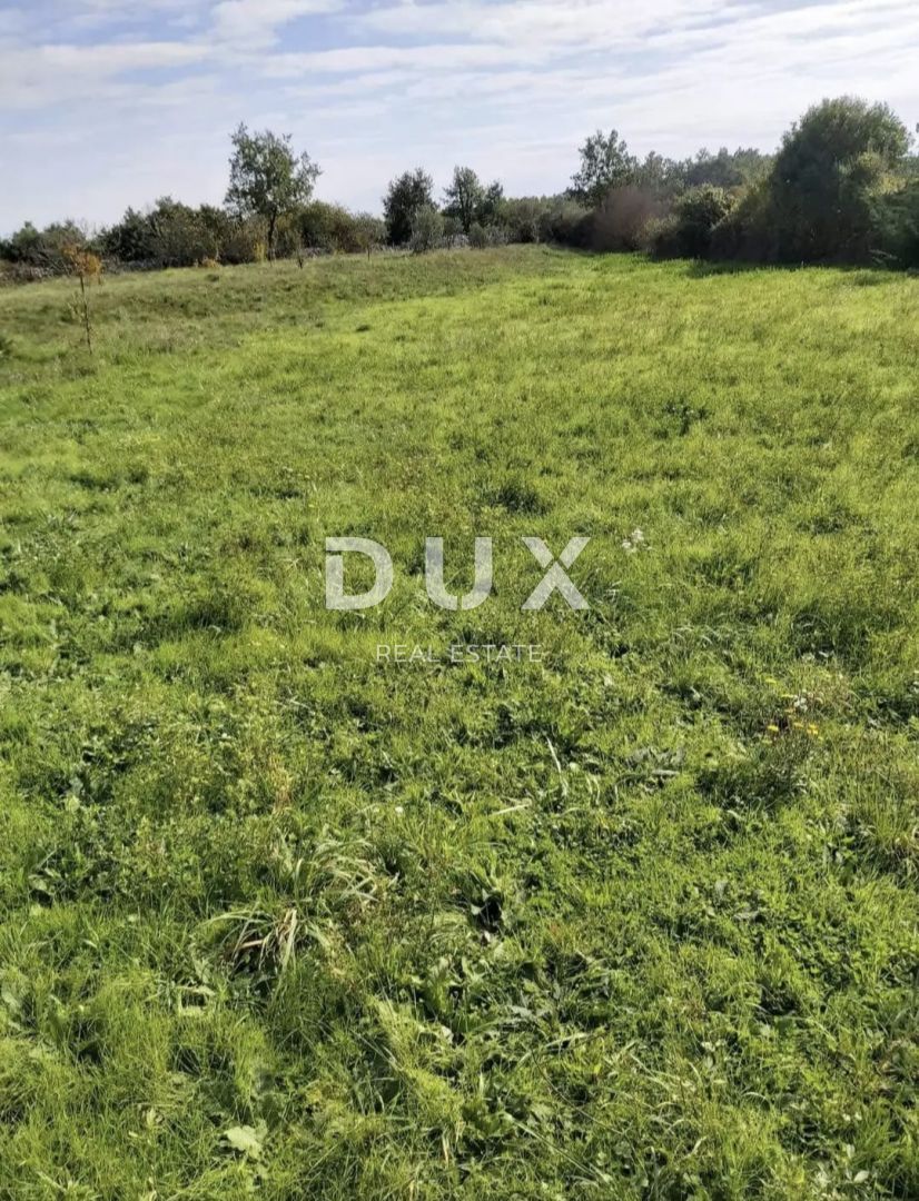 Fotografija