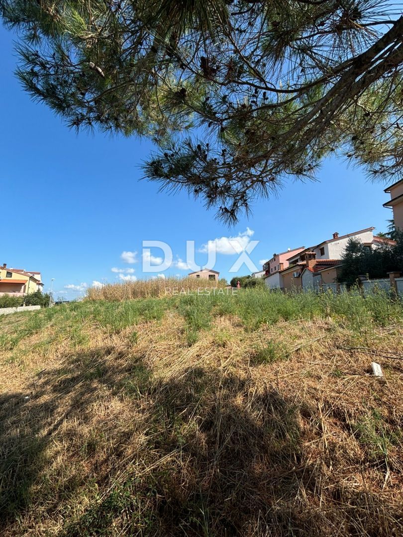 Fotografija