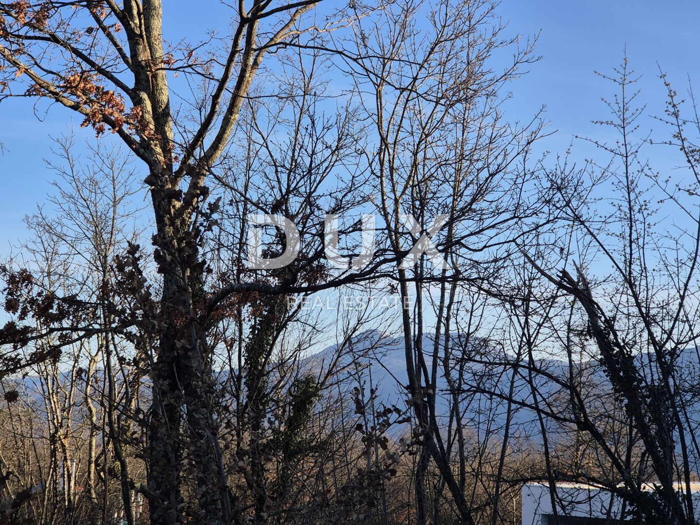 Fotografija