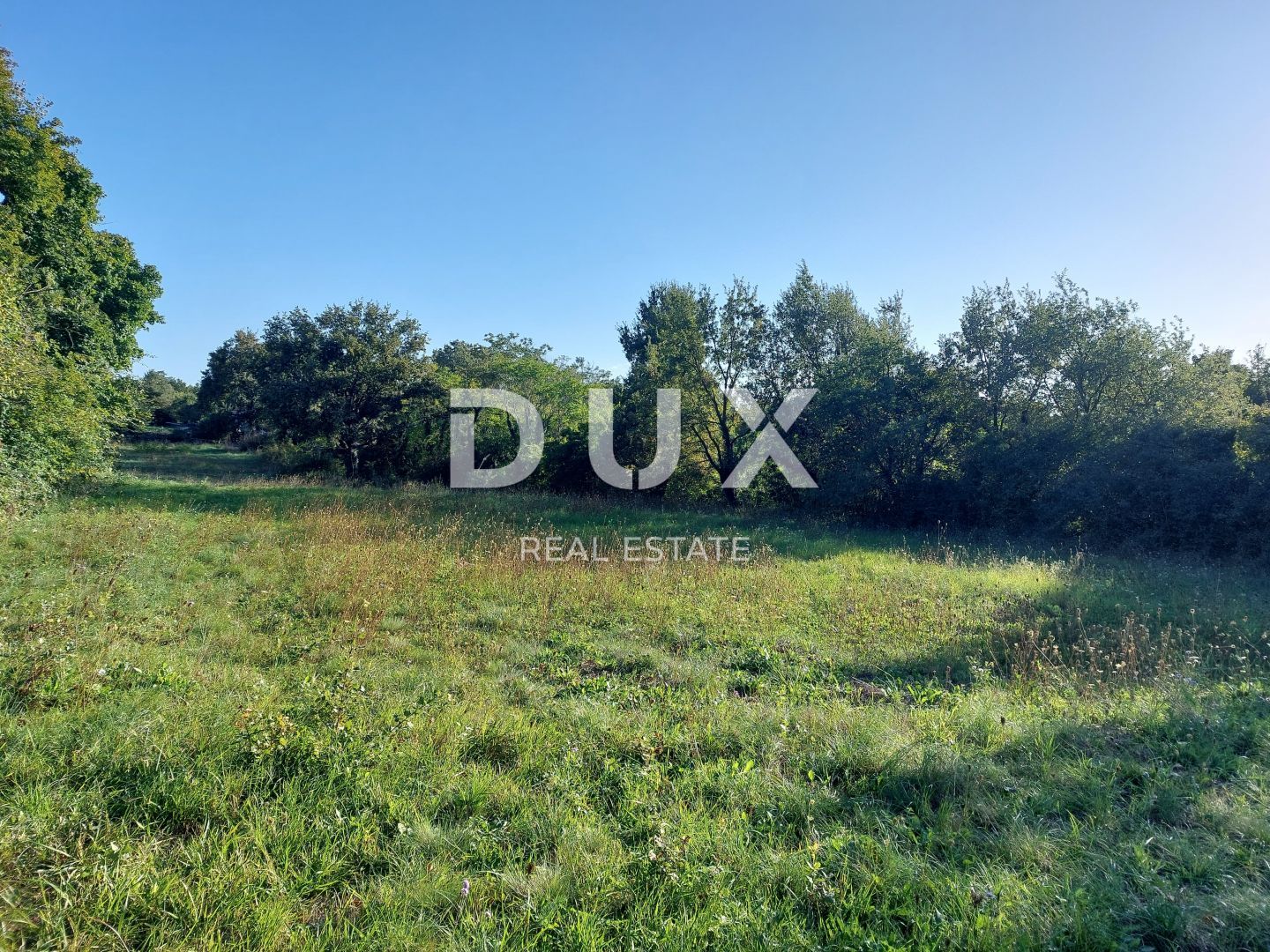 Fotografija