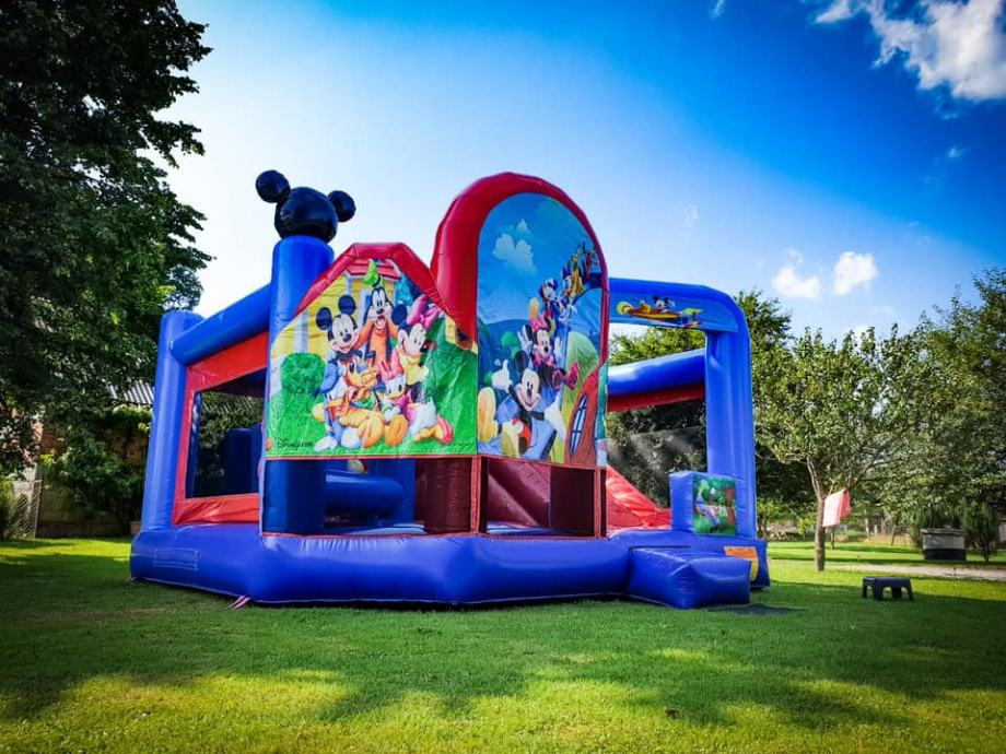 dvorci-napuhavanje-super-mario-spiderman-minions-mickey-slika-145460595