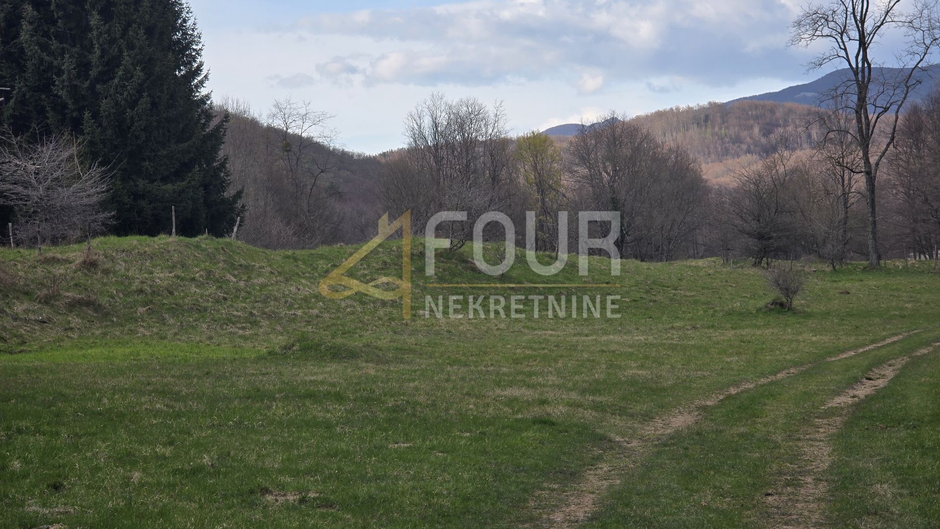 Fotografija