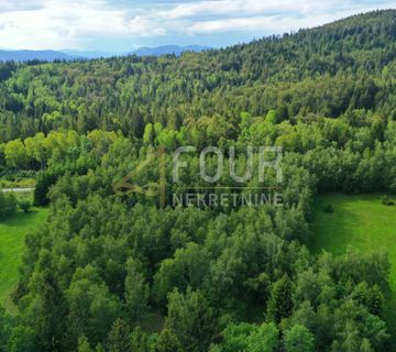 Gorski kotar, Ravna Gora, zemljište 4.825m2 - cover