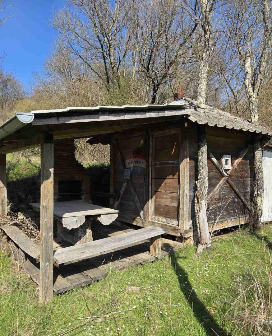 Fotografija