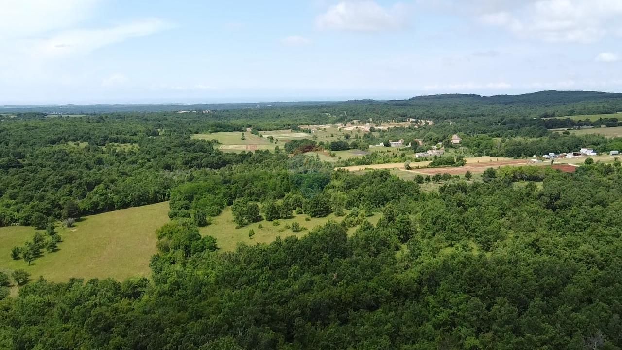 Fotografija