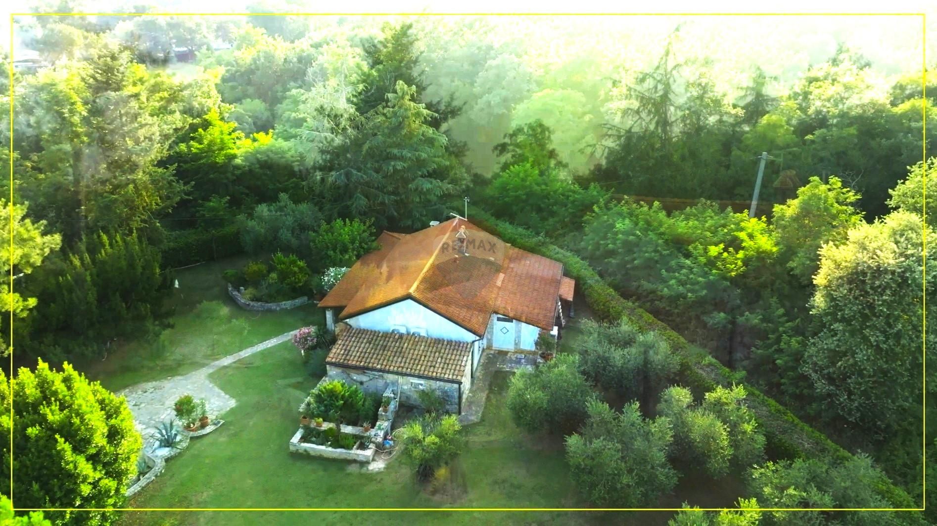Fotografija