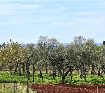 Istra, Umag okolica- građevinsko zemljište blizu mora - cover