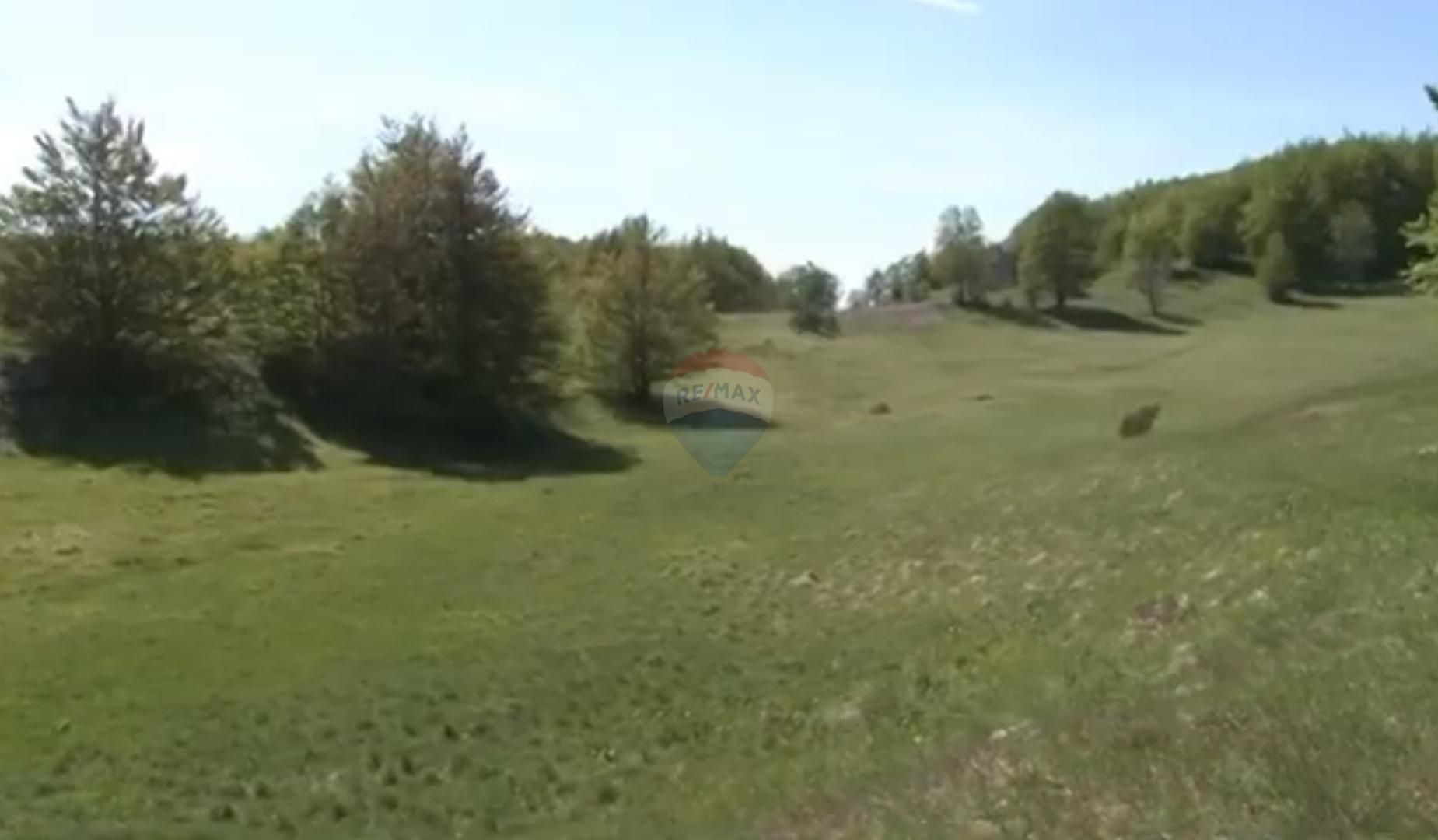 Fotografija
