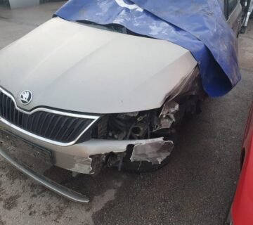 Škoda Rapid 1,6 TDI - cover
