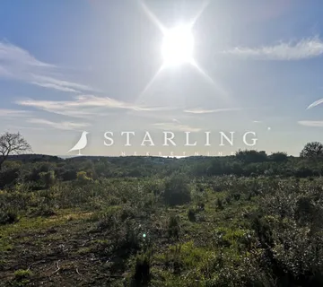 PRODAJA, GRAĐEVINSKO ZEMLJIŠTE SA POGLEDOM NA MORE, VINKURAN, 7000 M2 - cover