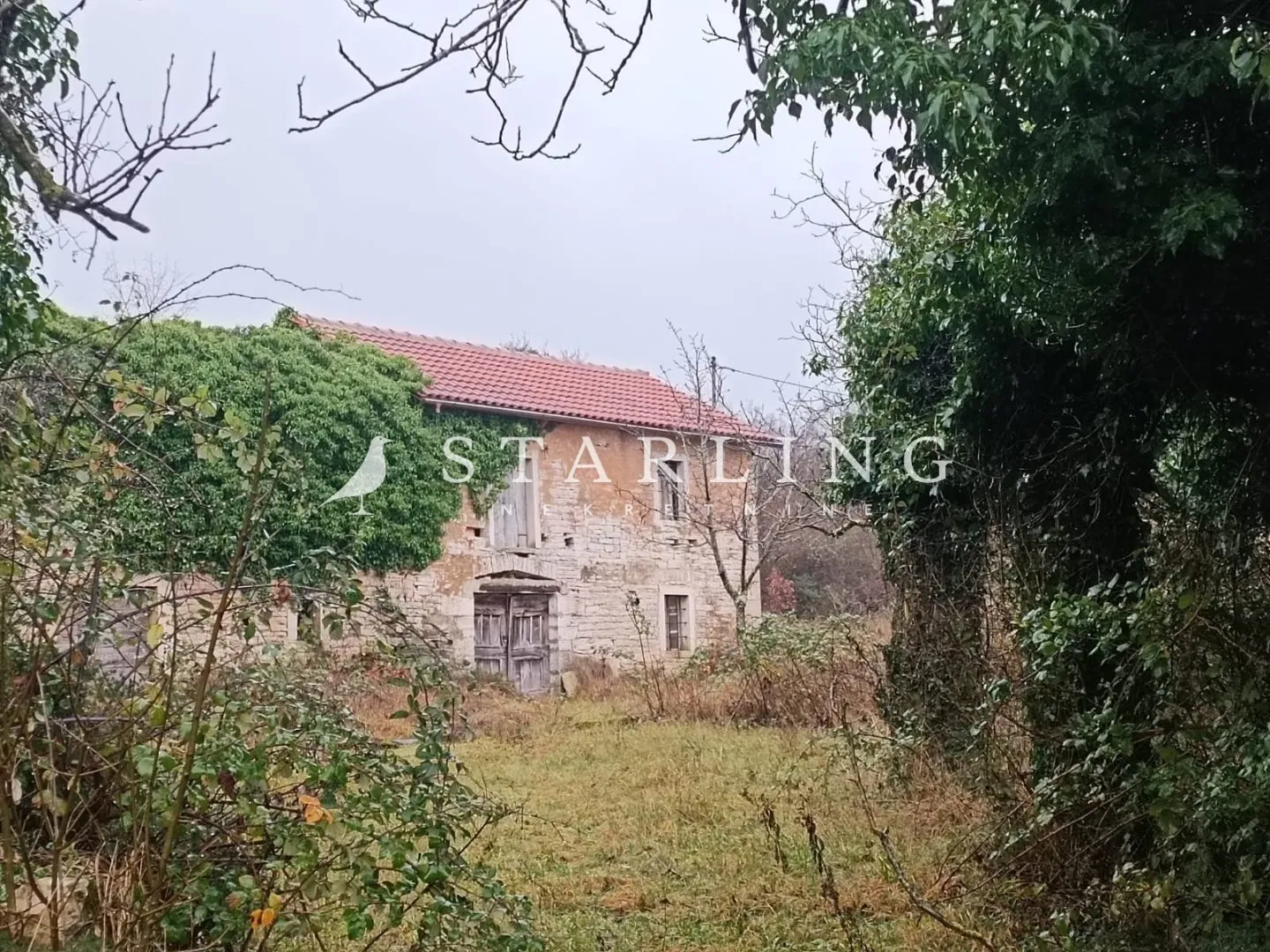 Fotografija