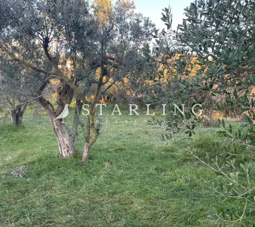 PRODAJA, GRAĐEVINSKO ZEMLJIŠTE, FILIPANA, 901 M2 - cover