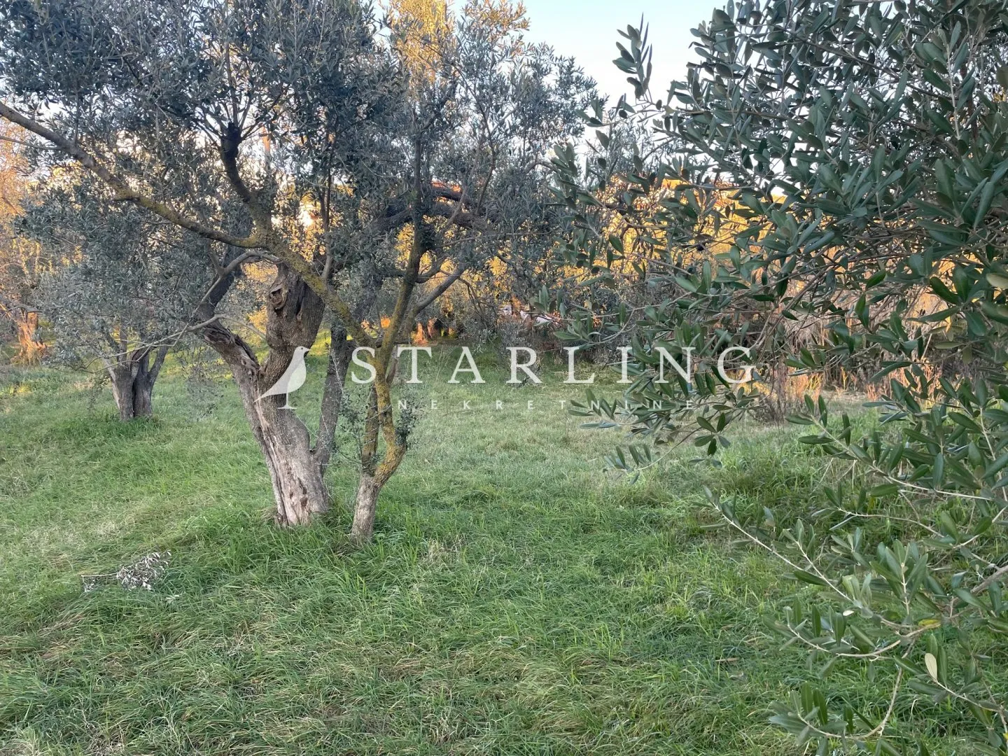 Fotografija