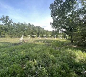 GRAĐEVINSKO ZEMLJIŠTE, PRODAJA, OPĆINA GROŽNJAN, 1000m2 - cover