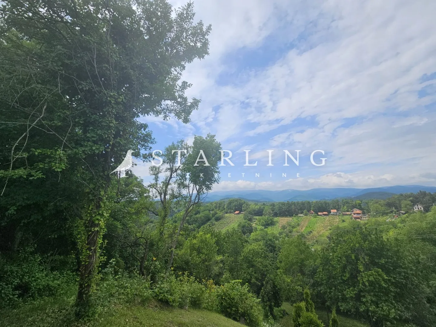 Fotografija