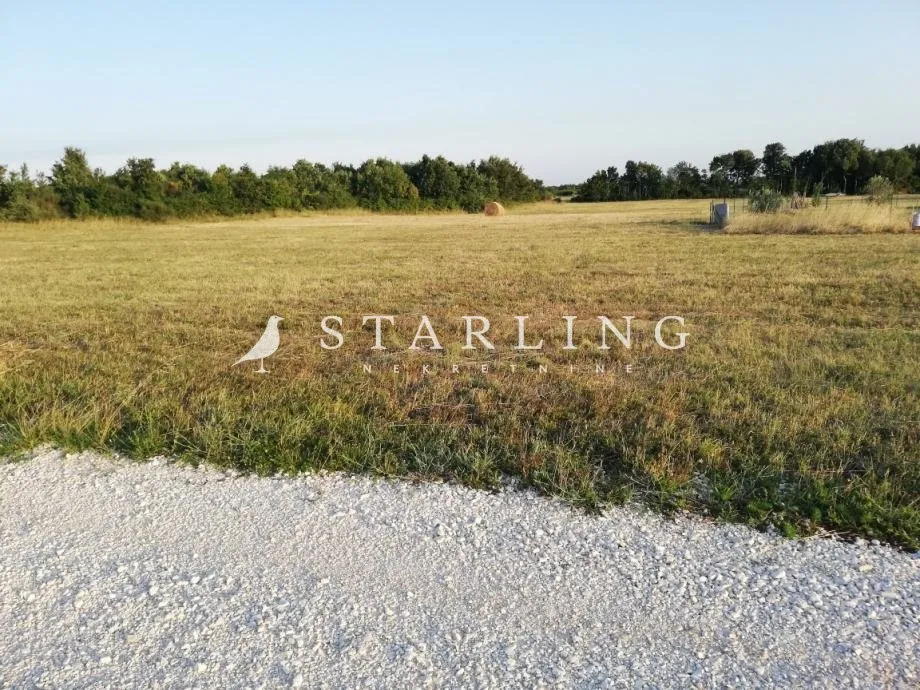 PRODAJA, ISTRA, LOBORIKA, ZEMLJIŠTE, 19.599 M2 - cover