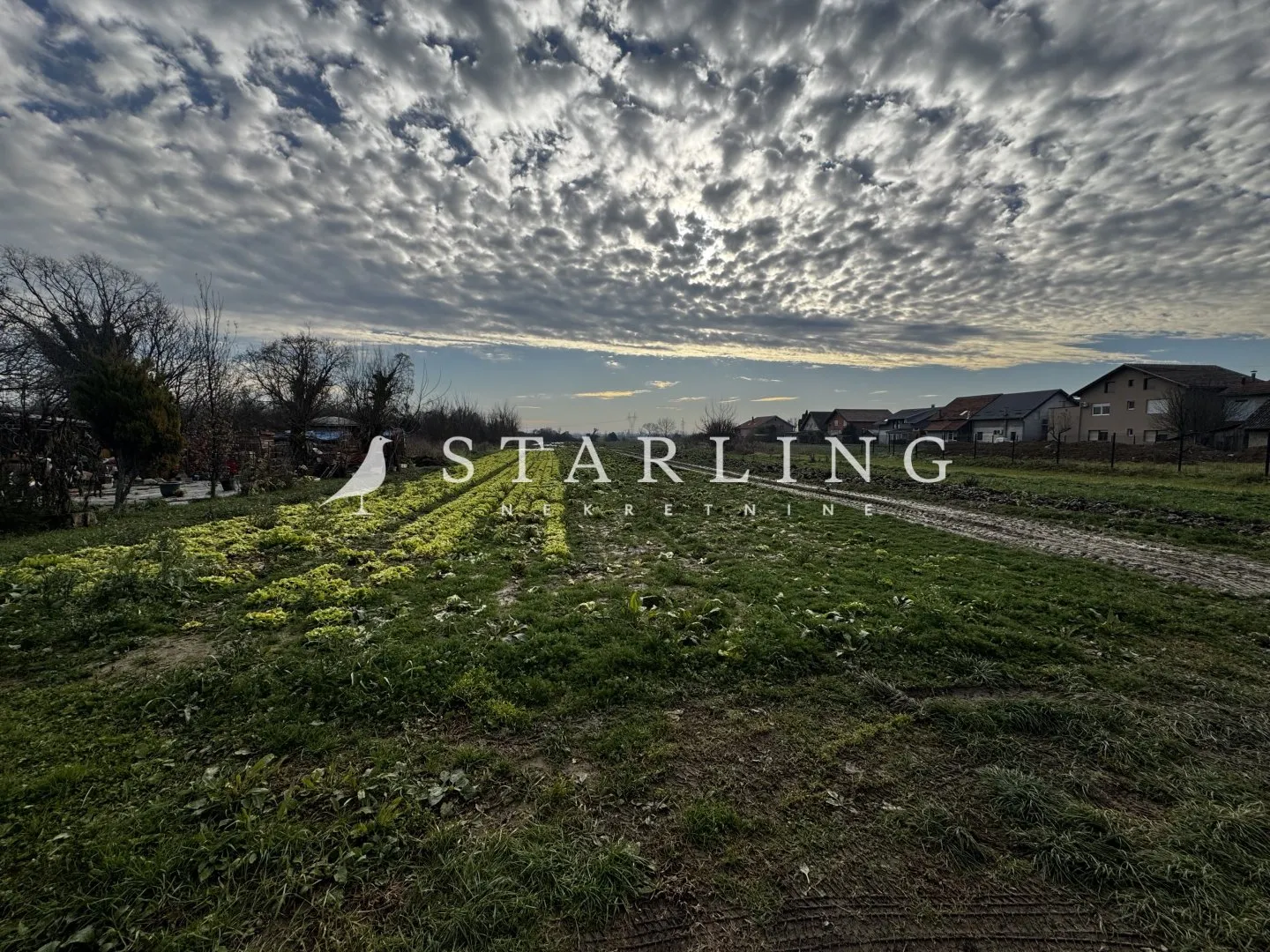 Fotografija