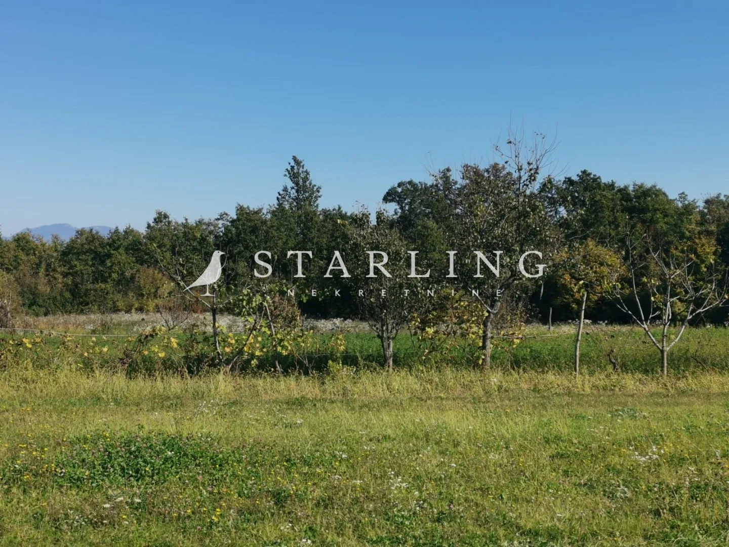 PRODAJA, POLJOPRIVREDNO ZEMLJIŠTE, BIBIĆI, 1100 M2 - cover