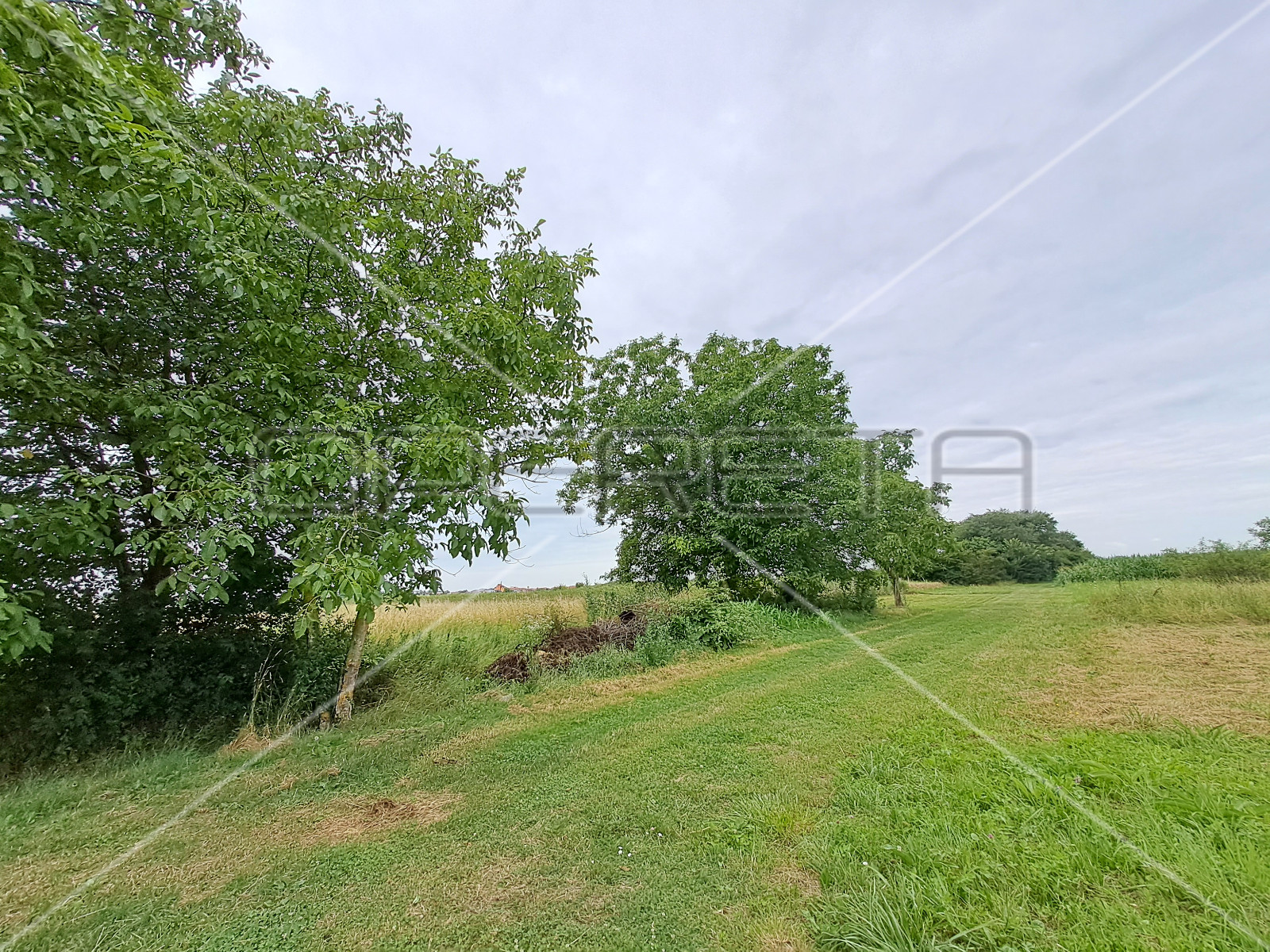 Briška, Gornje Rakarje, 1.299,00 m2, 75.000,00 EUR - cover