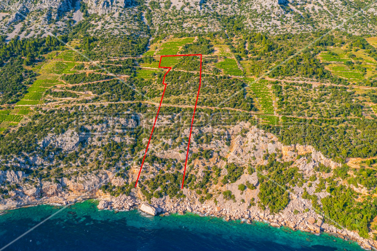 Zemljište, 12.257 m2, Dingač, Pelješac, 40 EUR/m2 - cover