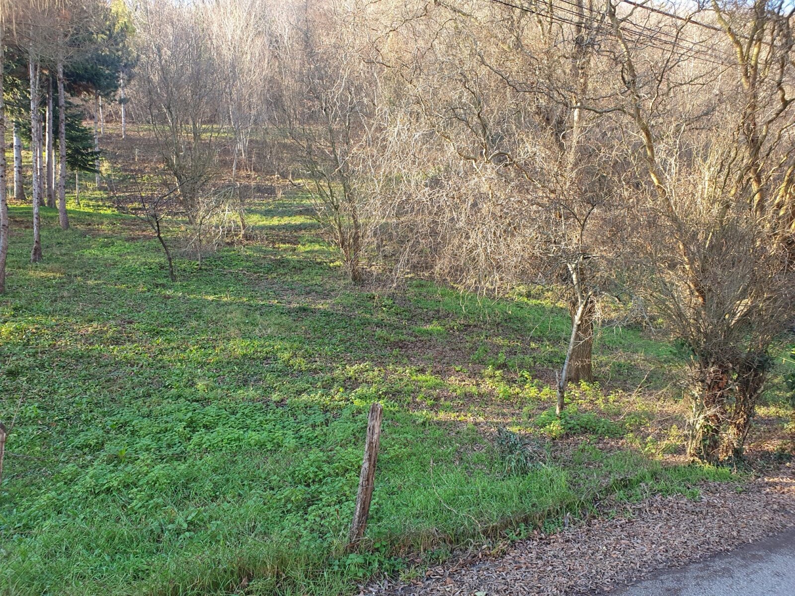 Ulica Dubravica, Gornji Stenjevec, 2.549,00 m2, 80.000,00 EUR - cover