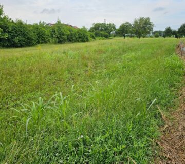 Šćukančeva, Blato, 1.024,00 m2, 204.800,00 EUR - cover